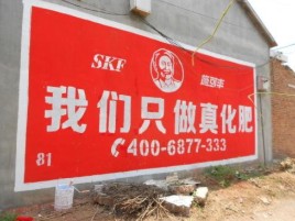 南阳刷墙广告”蕴含了时代命题