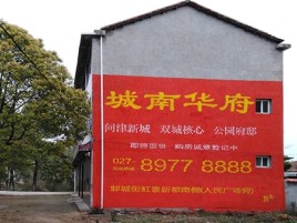 南阳百分之90的人都不了解的农村墙体广告