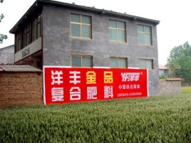 南阳如何让墙体广告展现最大化效果