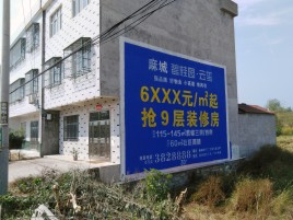 南阳墙体广告质量分析