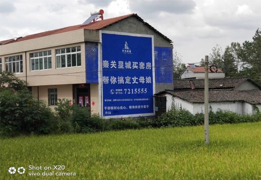 南阳决定墙体广告价格的因素有哪些?