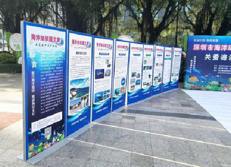 南阳KT板的种类和知识。